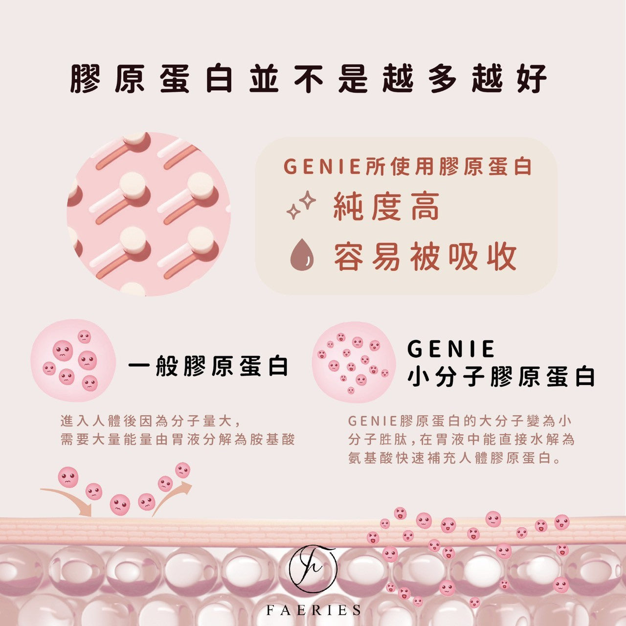 GENIE 膠原蛋白粉(現貨)